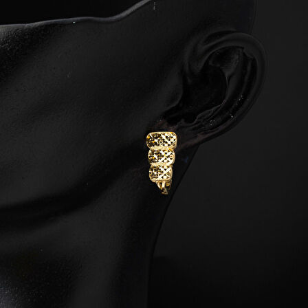 Plazma 14 Ayar Altın Küpe