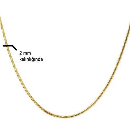 14 Ayar Altın Balıksırtı Zincir -45cm