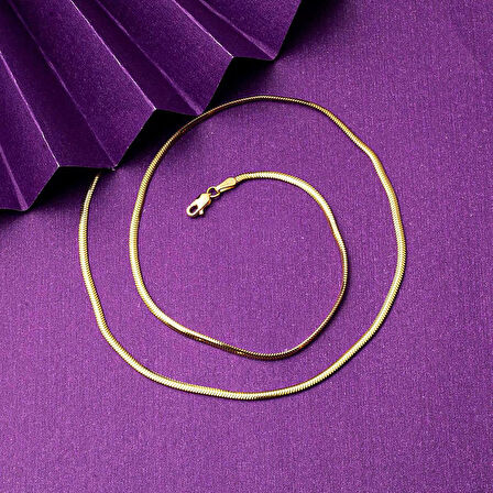 14 Ayar Altın Balıksırtı Zincir - 45cm