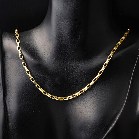 Halkalı 14 Ayar Altın Üniseks Zincir Kolye 60 cm.