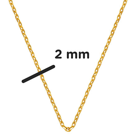 Force 14 Ayar Altın Zincir Kolye (2 mm Enli) 65 cm.