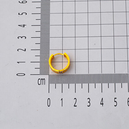 14 Ayar 3 Sıra Hasır Altın Halka Küpe