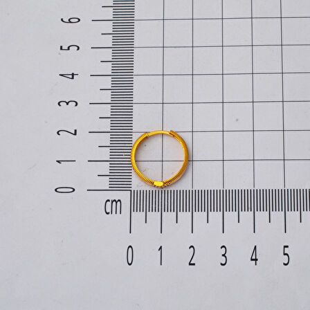 Ajda 14 Ayar Halka Altın Küpe 2 cm. Çaplı