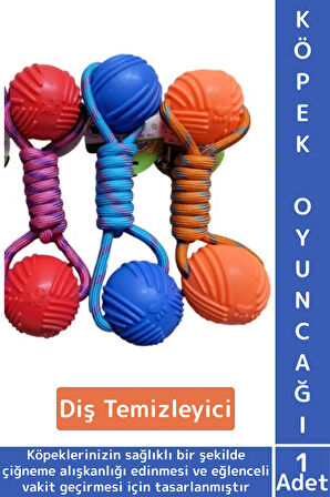 Evcil Hayvan Ağız Diş Sağlığı Kaşıma Çiğneme Temizleme Eğlenceli Vakit Kauçuk Top Köpek Oyuncağı