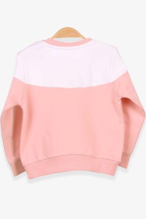 Breeze Kız Çocuk Sweatshirt Tavşan Nakışlı 1-4 Yaş, Somon