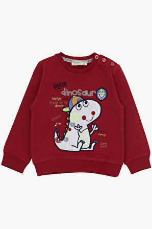 Breeze Erkek Çocuk Eşofman Takımı Minik Dinozor Nakışlı 1-4 Yaş, Kırmızı