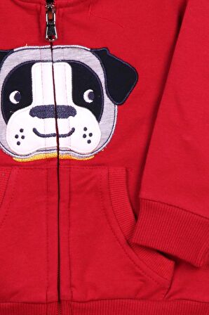Breeze Erkek Çocuk Eşofman Takımı Köpek Nakışlı 1-4 Yaş, Bordo