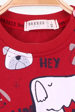 Breeze Erkek Çocuk Eşofman Takım Baskı Desenli 1-4 Yaş, Bordo
