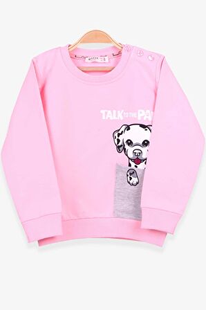 Breeze Kız Çocuk Sweatshirt Köpek Baskılı 2-6 Yaş, Pudra