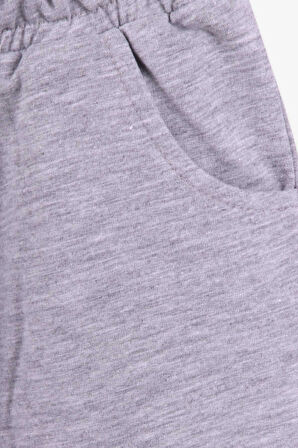 Breeze Erkek Çocuk Şortlu Takım Korsan Hayvanlar Baskılı 1-4 Yaş, Sarı