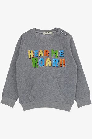 Breeze Erkek Çocuk Eşofman Takımı Renkli Slogan Baskılı 1-4 Yaş, Gri