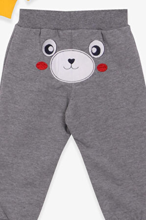 Breeze Erkek Bebek Eşofman Takımı Ayıcıklı Nakışlı 9 Ay-3 Yaş, Sarı