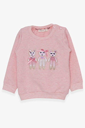 Breeze Kız Çocuk Sweatshirt Sevimli Hayvancıklar Baskılı 1.5-5 Yaş, Somon Melanj