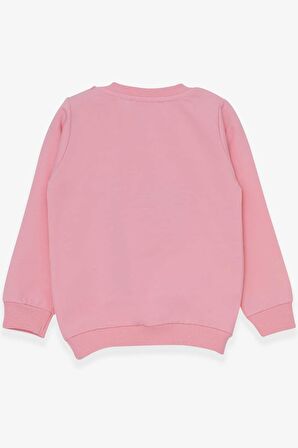 Breeze Kız Çocuk Sweatshirt Sevimli Hayvancıklar Baskılı 1.5-5 Yaş, Pudra