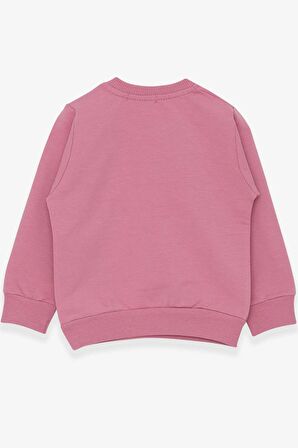 Breeze Kız Çocuk Sweatshirt Nakışlı Pullu 1-4 Yaş, Gülkurusu
