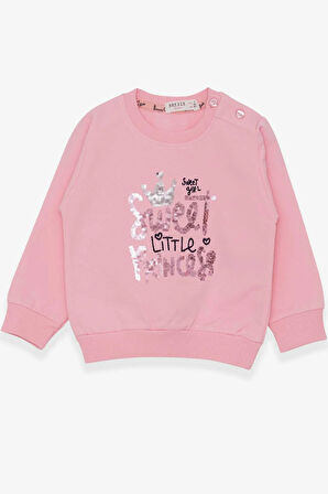Breeze Kız Çocuk Sweatshirt Nakışlı Pullu 1-4 Yaş, Pudra