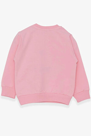 Breeze Kız Çocuk Sweatshirt Nakışlı Pullu 1-4 Yaş, Pudra