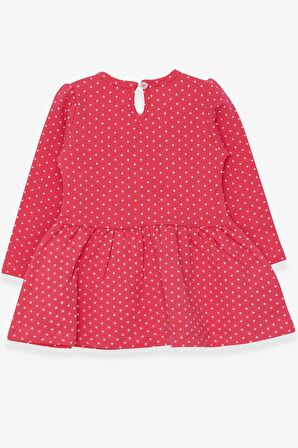 Breeze Kız Çocuk Uzun Kollu Elbise Simli Gözlüklü Kız Baskılı 1-4 Yaş, Narçiçeği