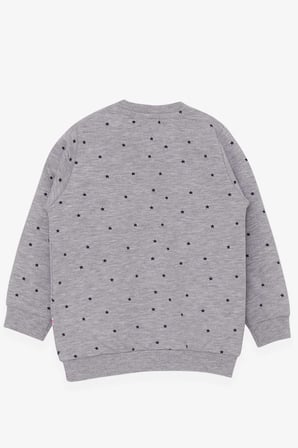 Breeze Kız Bebek Sweatshirt Mutlu Kedicikler 4 Ay-1.5 Yaş, Gri Melanj
