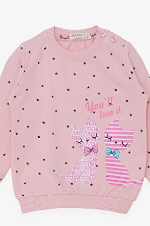 Breeze Kız Bebek Sweatshirt Mutlu Kedicikler 4 Ay-1.5 Yaş, Pudra