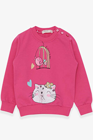 Breeze Kız Çocuk Sweatshirt Simli Kedicik Baskılı 1.5-5 Yaş, Pembe