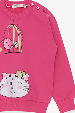 Breeze Kız Çocuk Sweatshirt Simli Kedicik Baskılı 1.5-5 Yaş, Pembe