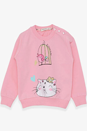 Breeze Kız Çocuk Sweatshirt Simli Kedicik Baskılı 1.5-5 Yaş, Pudra