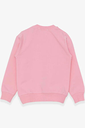Breeze Kız Çocuk Sweatshirt Simli Kedicik Baskılı 1.5-5 Yaş, Pudra