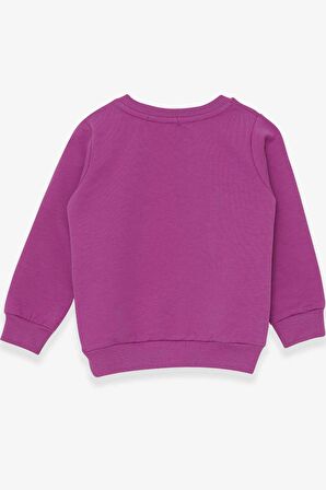 Breeze Kız Çocuk Sweatshirt Baskılı Unicorn 1.5-5 Yaş, Eflatun