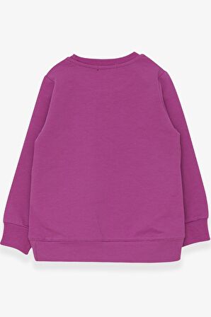 Breeze Kız Çocuk Sweatshirt Pullu Kız Baskılı 3-8 Yaş, Mor