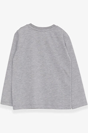 Breeze Erkek Bebek Uzun Kollu Tişört Dinozor Nakışlı 9 Ay-3 Yaş, Gri Melanj
