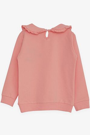 Breeze Kız Çocuk Sweatshirt Bebe Yaka 1.5-5 Yaş, Somon