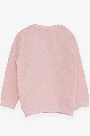 Breeze Kız Çocuk Sweatshirt Ayıcık Aksesuarlı 1.5-5 Yaş, Somon Melanj