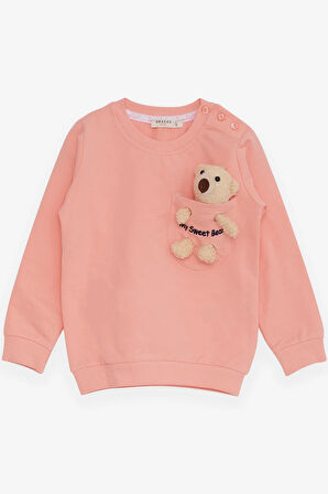 Breeze Kız Çocuk Sweatshirt Ayıcık Aksesuarlı 1.5-5 Yaş, Somon