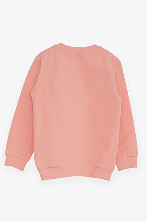 Breeze Kız Çocuk Sweatshirt Ayıcık Aksesuarlı 1.5-5 Yaş, Somon