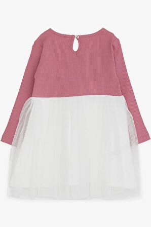 Breeze Kız Çocuk Uzun Kollu Elbise Kedicik Nakışlı 1.5-5 Yaş, Gülkurusu