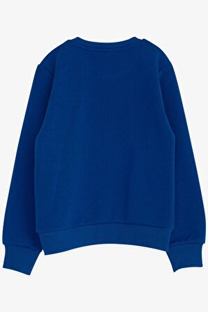 Breeze Erkek Çocuk Sweatshirt Yazı Baskılı 2-6 Yaş, Saks Mavisi