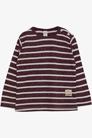 Breeze Erkek Bebek Uzun Kollu Tişört Çizgili 9 Ay-3 Yaş, Mürdüm