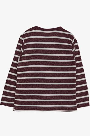 Breeze Erkek Bebek Uzun Kollu Tişört Çizgili 9 Ay-3 Yaş, Mürdüm