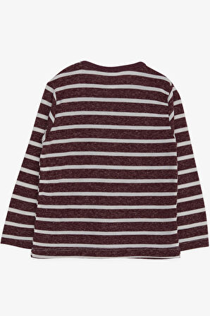 Breeze Erkek Bebek Uzun Kollu Tişört Çizgili 9 Ay-3 Yaş, Mürdüm