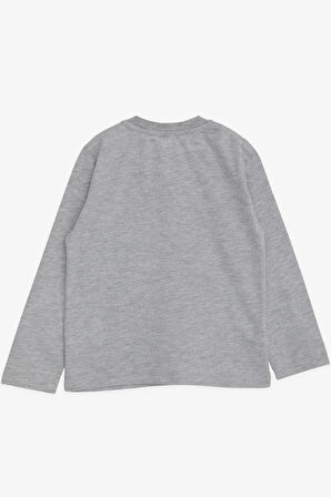 Breeze Erkek Bebek Uzun Kollu Tişört Ayıcık Baskılı Yazı Nakışlı 9 Ay-3 Yaş, Gri Melanj