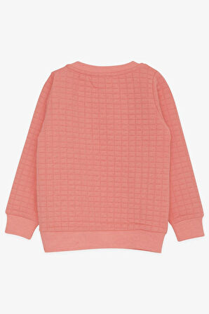 Breeze Kız Çocuk Sweatshirt Pullu Yazı Baskılı 1.5-5 Yaş, Somon