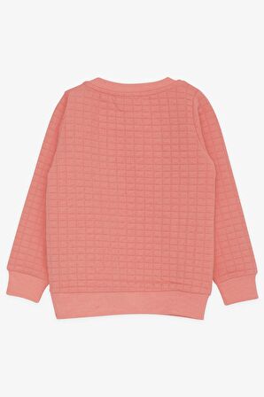 Breeze Kız Çocuk Sweatshirt Pullu Yazı Baskılı 1.5-5 Yaş, Somon