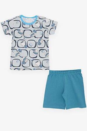 BREEZE GİRLS & BOYS Erkek Bebek Pijama Takımı Sevimli Rakun Desenli 9 Ay-3 Yaş, Gri