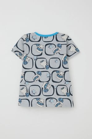Breeze Girls & Boys Erkek Bebek Pijama Takımı Sevimli Rakun Desenli 9 Ay-3 Yaş, Gri