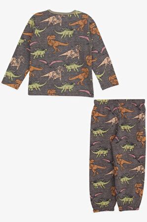 BREEZE GİRLS & BOYS Erkek Bebek Pijama Takımı Dinozor Desenli 9 Ay-3 Yaş, Antrasit