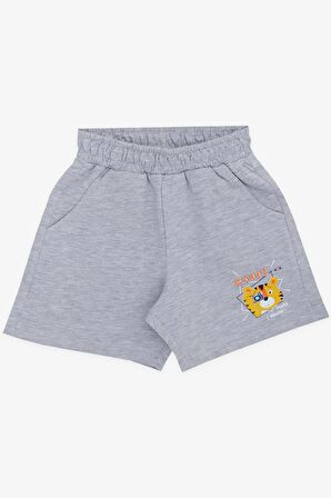 BREEZE GİRLS & BOYS Erkek Çocuk Şortlu Takım Fotoğrafçı Aslancık Baskılı 1-4 Yaş, Lacivert