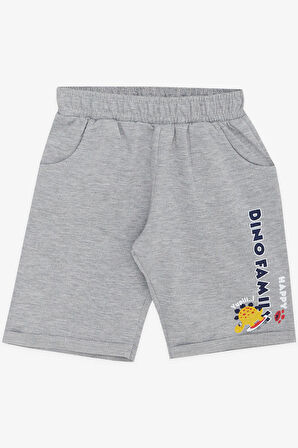 Breeze Girls & Boys Erkek Çocuk Şortlu Takım Mutlu Dinozor Aile Baskılı 1-4 Yaş, Mint Yeşili