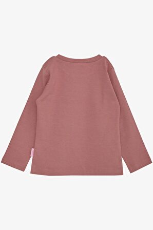 Breeze Kız Çocuk Uzun Kollu Tişört Basic 1-4 Yaş, Gülkurusu