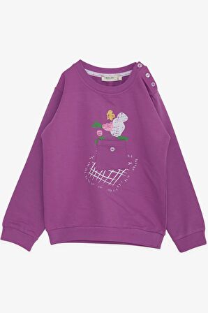 Breeze Kız Çocuk Sweatshirt Cepli Çiçek Baskılı 1-4 Yaş, Eflatun